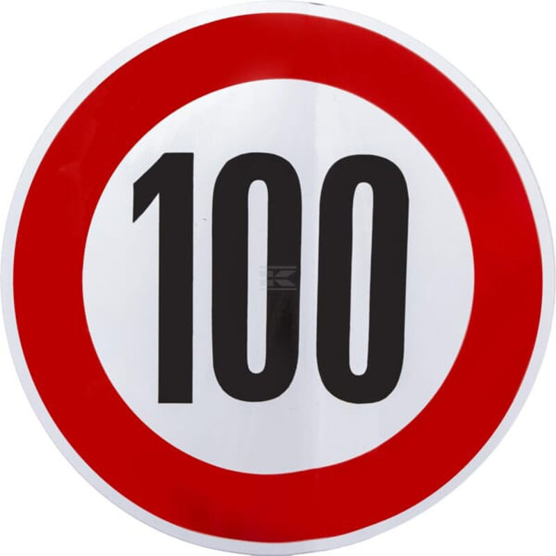 Alberts 416867 Roue De Soutien Pour Portail | Pour Portails Lourds Et Larges | Jusqu'à 450 Kg | à Visser | Galvanisée à Chaud | Hauteur 400 Mm | Roue 125 Mm