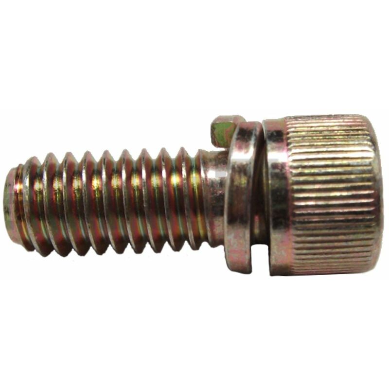 Vis fixation échappement moteur Briggs et Stratton 690297