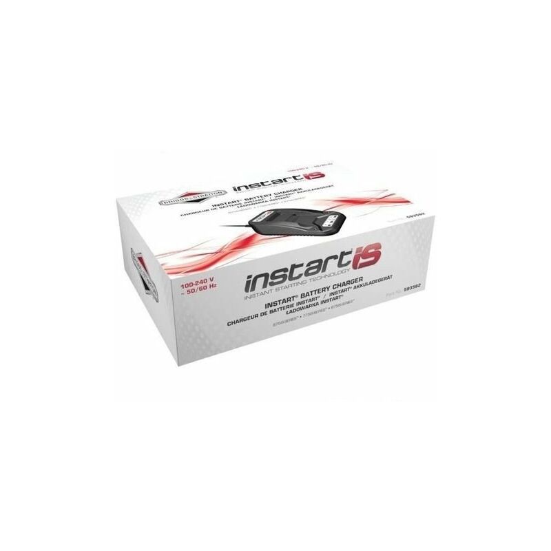 Batterie Lithium-Ion Briggs & Stratton 593560 / 597189 | Pour Démarreur Moteur | Sans Entretien, Indicateur De Charge