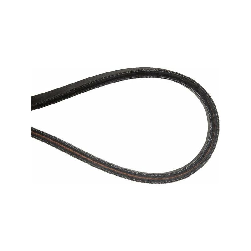 Courroie Moteur Tapis Roulant 5PJ605 Poly Nervurée - 4PJ605 à 10PJ605 Transmission Fitness