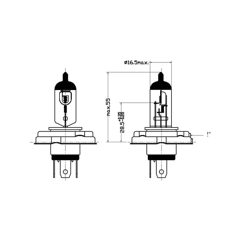 Ampoule UNIVERSEL B1239