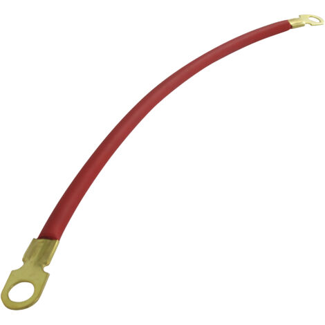 Fil de masse rouge avec cosses 10 mm – Longueur 30 cm – Section 8 mm² pour applications électriques – Gaine en polyvinyl