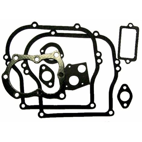 Pochette De Joints Adaptable Pour Moteur Briggs & Stratton Modèles 100200, 130200, 131200,132200, 133200, 125200 (5 Ch. Horizont