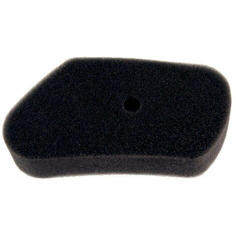 Filtre à Air Adaptable Pour Honda Hr173. Remplace Origine: 17211-zg1-700. L: 135mm,l 72mm,h:23mm.