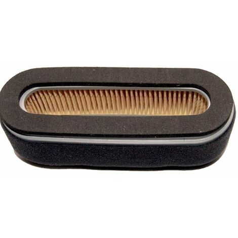1210111210 – Filtre à air adaptable pour moteurs Honda et Kubota T150 – Longueur 142mm, Largeur 54mm, Modèle ovale avec préfiltre (1/4)