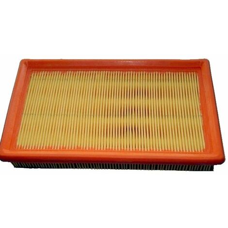 Filtre à air LOMBARDINI 2175-164 - 2175-105 - 2175-132