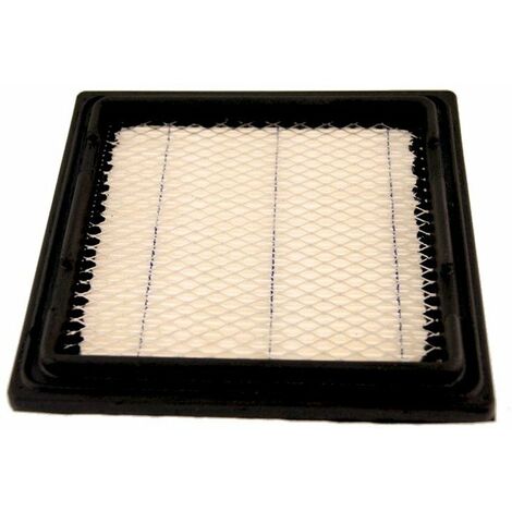 Filtre à air TECUMSEH 37360 (1/2)