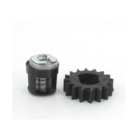 Kit pignon BRIGGS ET STRATTON 495877 - 696539 - 490467