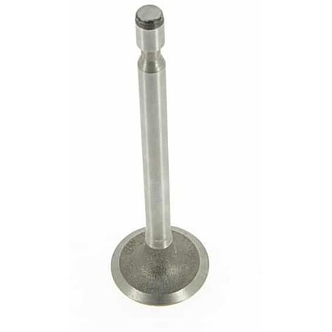 Soupape D'admission Adaptable Pour Briggs & Stratton Modèles 140000, 170000, 190000 (6,7 + 8 Ch.). Remplace Origine: 261055