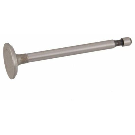 Soupape d'échappement BRIGGS ET STRATTON 262651 - 262651s - 590394