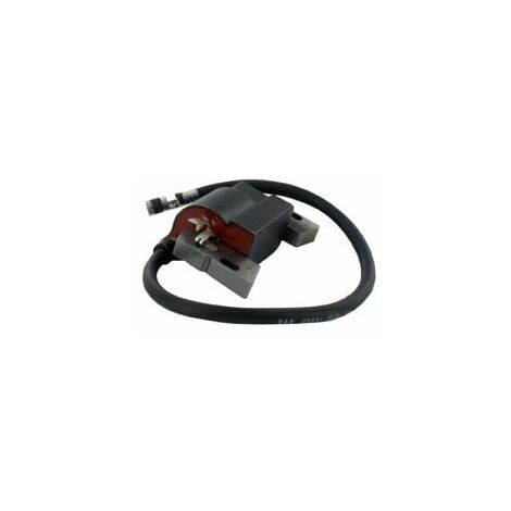 Bobine d'allumage BRIGGS et STRATTON 592846 - 799651