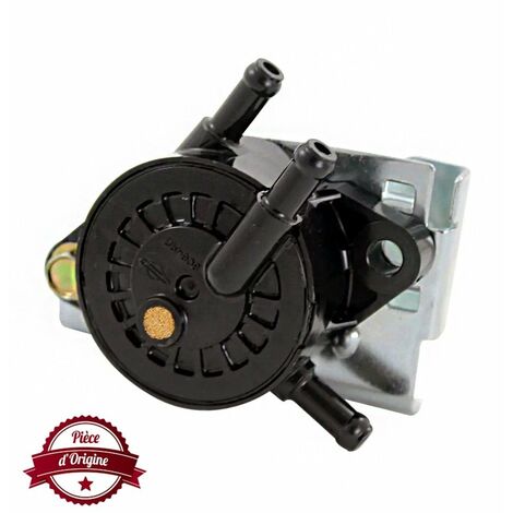 Pompe à essence BRIGGS ET STRATTON 697090 (1/2)