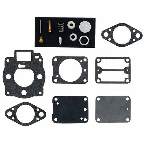 Kit réparation carburateur BRIGGS ET STRATTON 693503 (1/2)