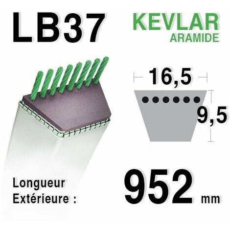 Courroie lb37 - 16,5 mm x 952 mm (1/2)