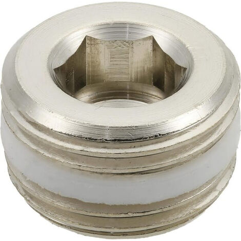 Bouchon CAMOZZI S261538 (1/3)