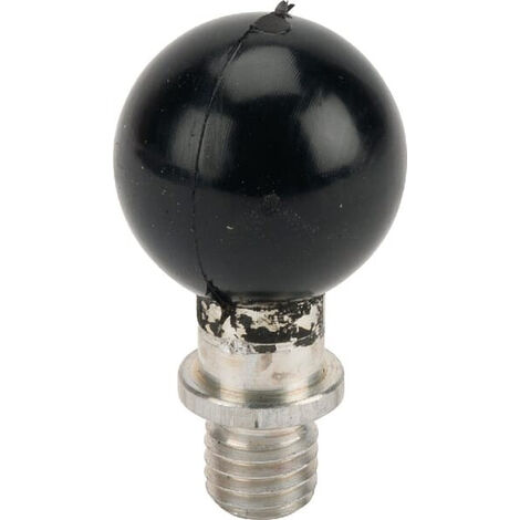 Boule de montage RAM RAMB3491 (1/3)