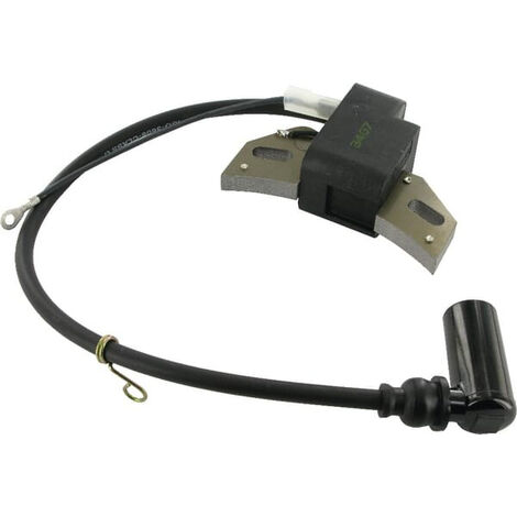 Bobine allumage moteur Lombardini - 1567212