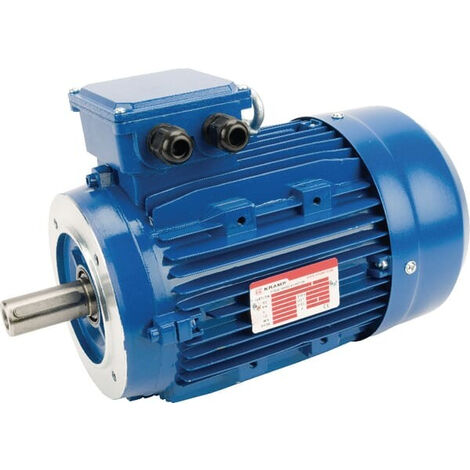 Moteur électrique 2,2 kW UNIVERSEL EM100LA4B14300IE3A (1/3)