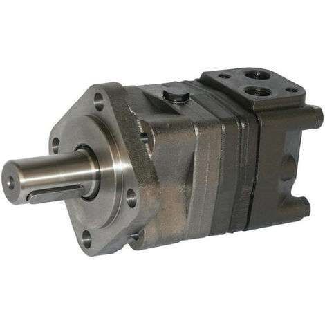 Moteur orbital DANFOSS OMS125151F0502 (1/4)