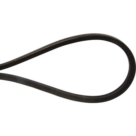 Courroie UNIVERSEL VB101041N (1/2)