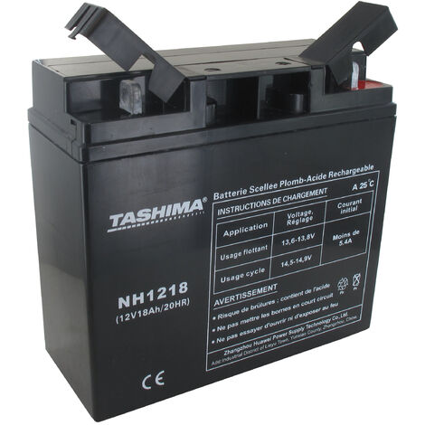 Batterie motoculture gel/agm HONDA, STIGA, CASTELGARDEN, TASHIMA NH1218