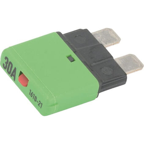 Fusible E.T.A SI25030 (1/2)