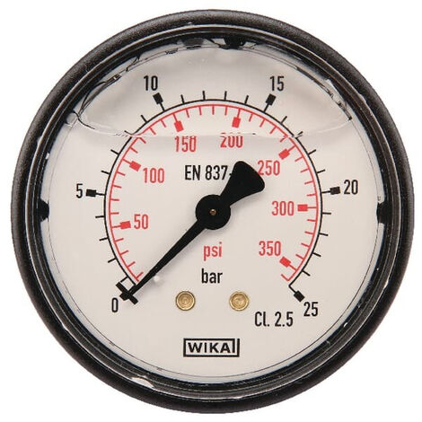 Manomètre WIKA MA6325B04PLGF (1/2)