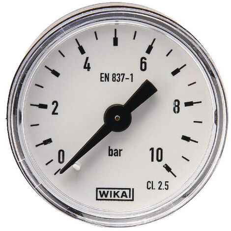 Manomètre WIKA MA4010B02PL (1/2)