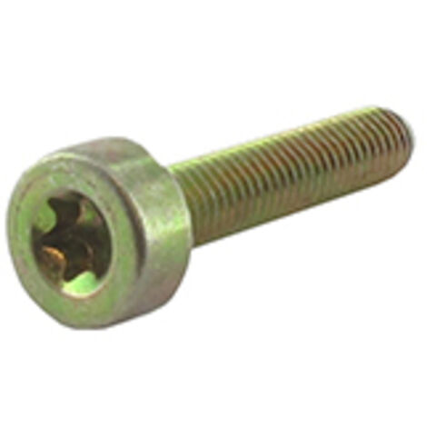 Vis Torx M5x25mm Adaptable Stihl Pour Modèles Tous Modèles. Remplace Origine 9022-341-1050.