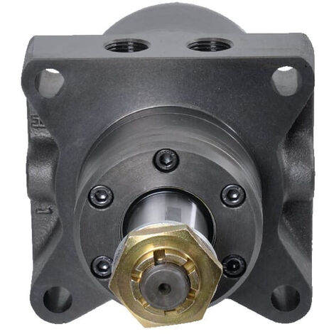 Moteur électrique DANFOSS OMRW2001516867 (1/3)