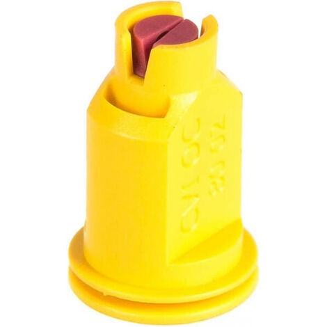 Buse Albuz Cvioc8002