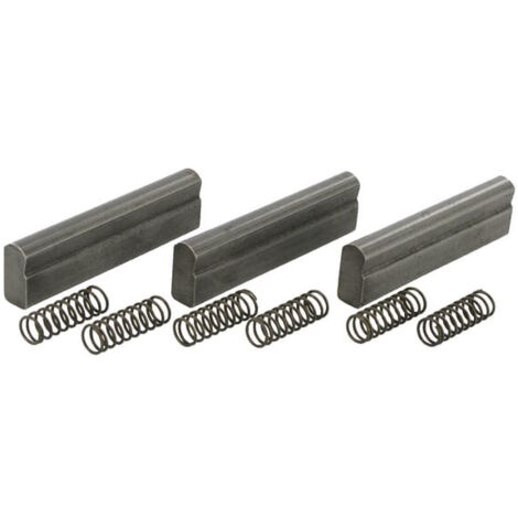Came et ressort BONDIOLI/6PAVESI 4210G0001R03 (1/2)
