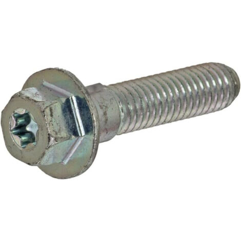 Vis BRIGGS ET STRATTON 793458 (1/2)