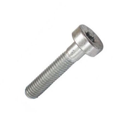 42377160400 – Vis cylindrique IS M5X25 pour taille-haie – Accessoire de précision pour coupe nette – Compatible avec modèles STIHL