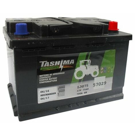 Batterie Tashima 12V 28Ah pour tracteur tondeuse