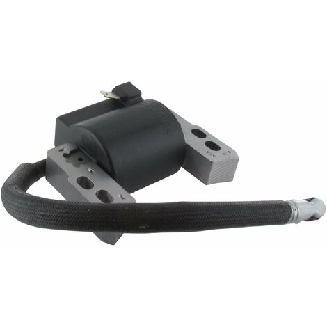Bobine d'allumage BRIGGS et STRATTON 796964 (1/3)