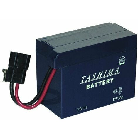 Batterie FBT19 pour modèles TECUMSEH (1/2)