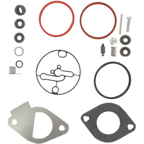 Kit de carburateur BRIGGS ET STRATTON 796184 (1/2)