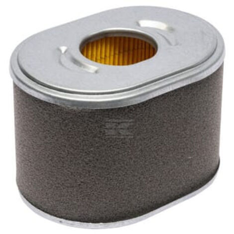 Filtre à cartouche BRIGGS & STRATTON 595435