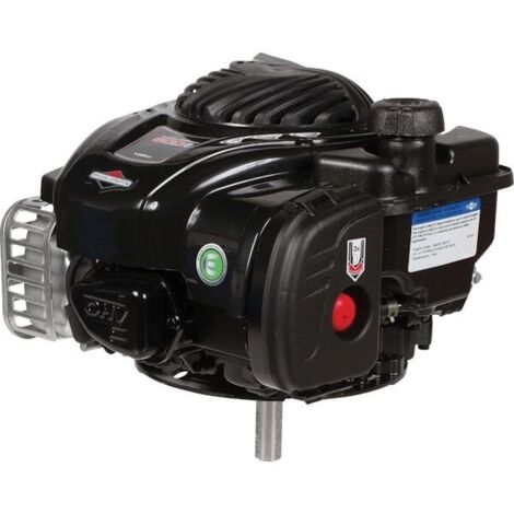 Moteur BRIGGS & STRATTON 09P8020004H5 (1/3)