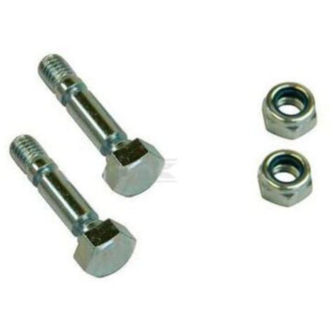 Kit Briggs Stratton 707555