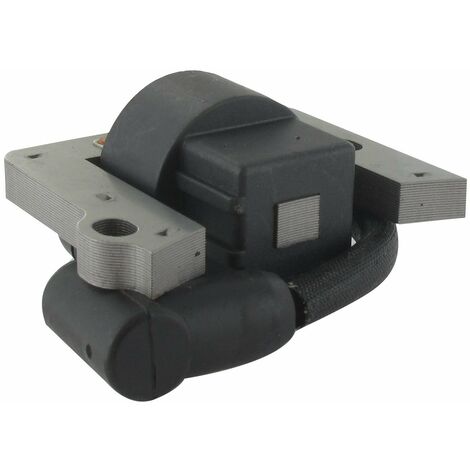 Bobine D'allumage Adaptable Pour Honda Modèles Gxv140, Gxv160. Remplace Origine 30500-zg9-801. (1/2)