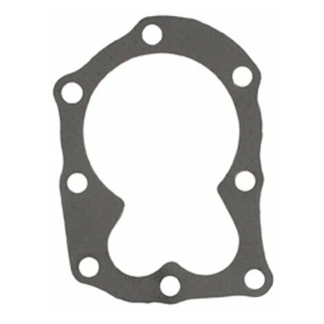 Joint de culasse BRIGGS et STRATTON 698717 modèles 09K502 - 09L502 - 09T501