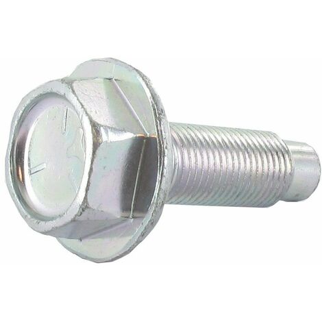 Boulon de vilebrequin BRIGGS ET STRATTON 698139