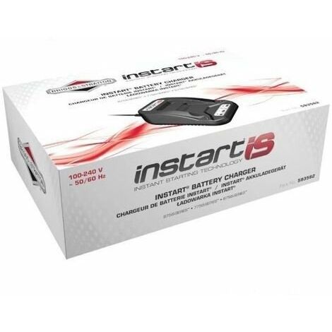 Chargeur de batterie BRIGGS ET STRATTON 593562