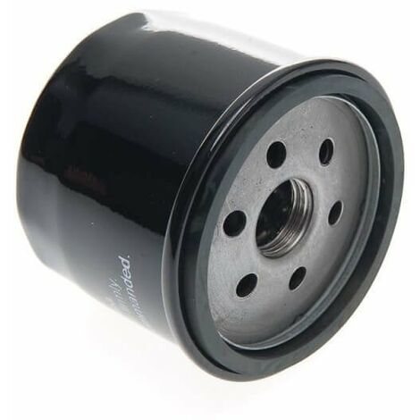 Filtre à huile BRIGGS ET STRATTON 992353