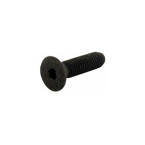Vis de rechange pour tête WEED EATER