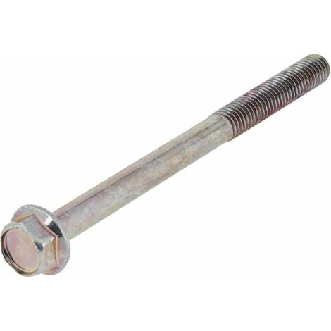Vis BRIGGS ET STRATTON 842618 (1/2)