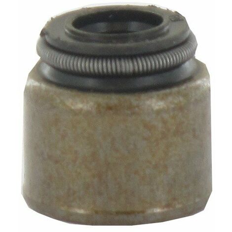 Joint de soupape BRIGGS ET STRATTON 690968