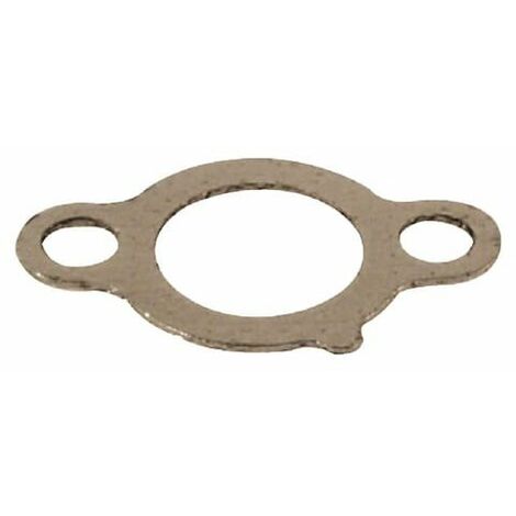 Briggs Und Stratton 691613 Dichtung Auspuff – Original-Ersatzteil Für Rasenmäher & Motoren